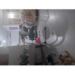 נדנדה לתינוק נדנדה לתינוק
